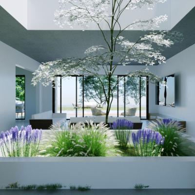 Kdlk Render V0 House00007